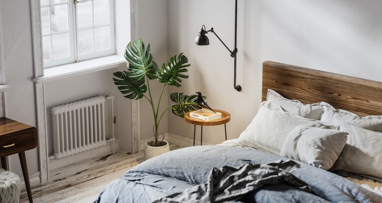 bedroom with plant